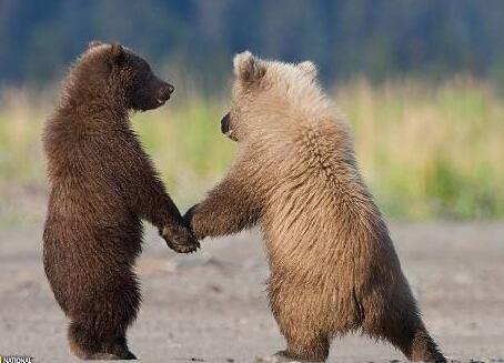 友情鏈接的作用